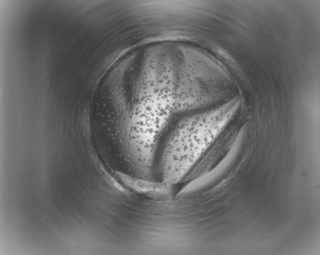 X0000068721177200605192245