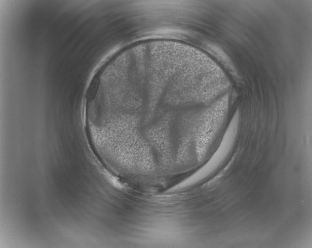 X0000068721180200605192245