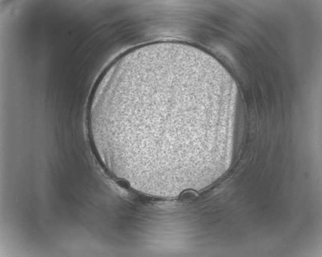 X0000068721182200605192245