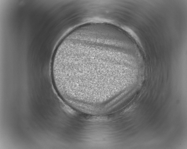 X0000068721183200605192245