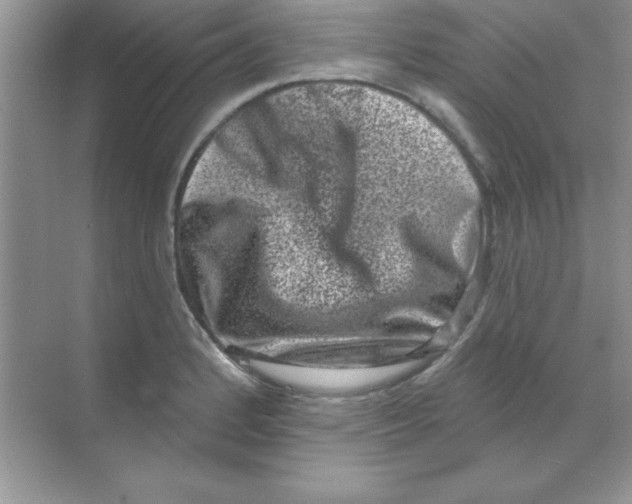 X0000068721184200605192245