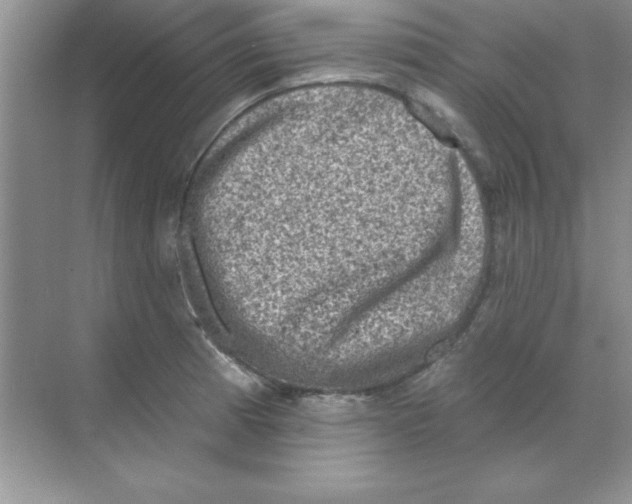 X0000068721185200605192245