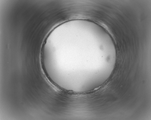 X0000068721187200605192245