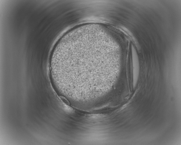 X0000068721188200605192245