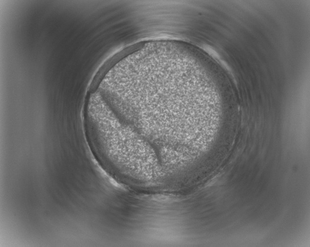 X0000068721189200605192245