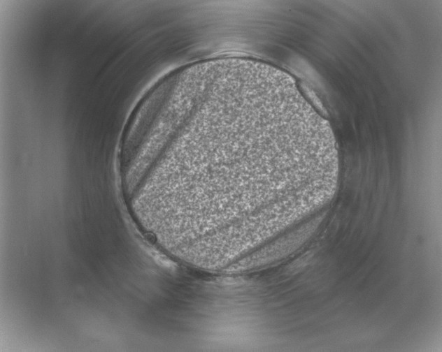 X0000068721190200605192245