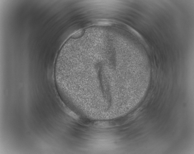 X0000068721194200605192245