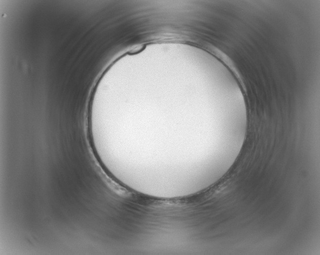 X0000068721195200605192245