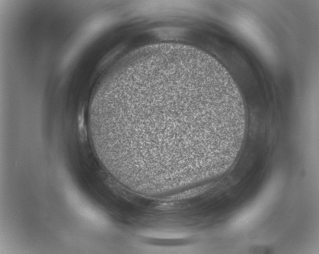 X0000068721198200605192245