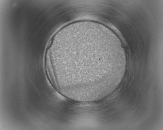 X0000068721199200605192245