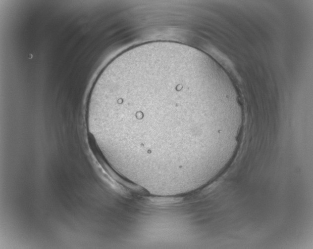 X0000068721200200605192245