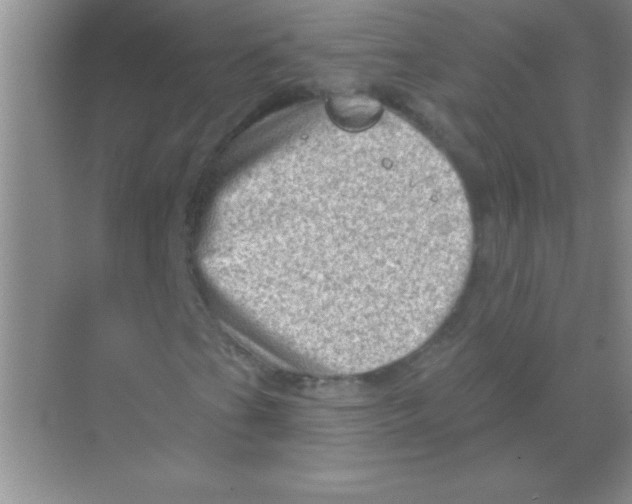 X0000068721201200605192244