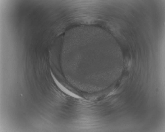 X0000068721202200605192244