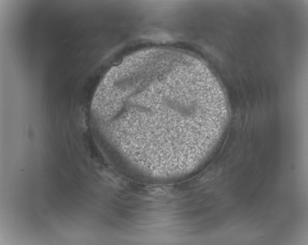 X0000068721205200605192244