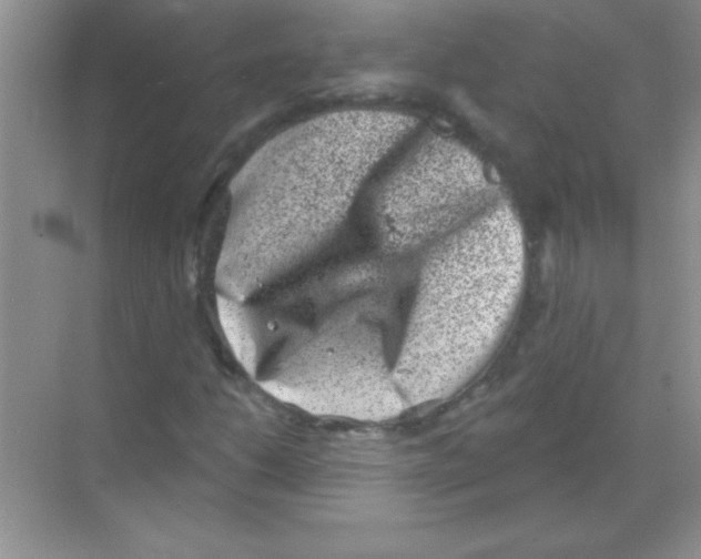 X0000068721206200605192244