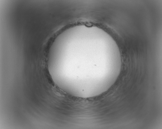 X0000068721207200605192244