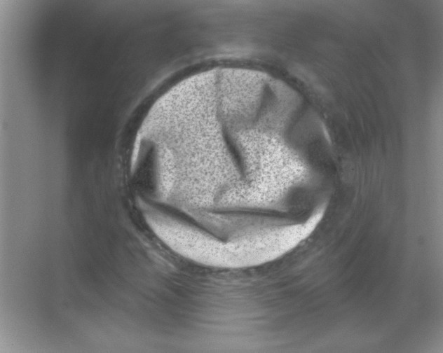 X0000068721208200605192244