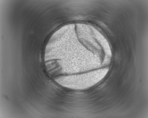 X0000068721209200605192244