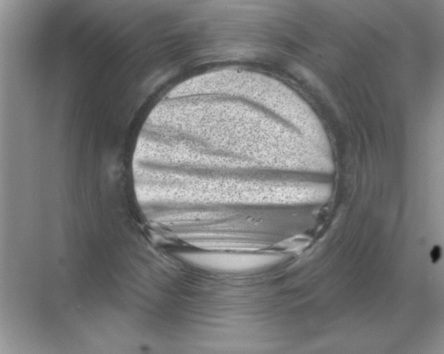 X0000068721210200605192244