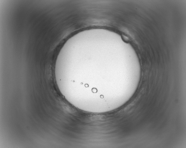 X0000068721211200605192244