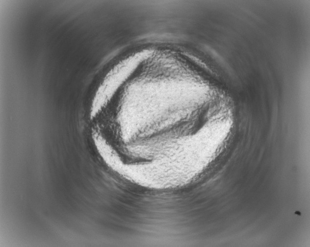 X0000068721213200605192244