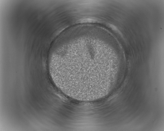 X0000068721217200605192244