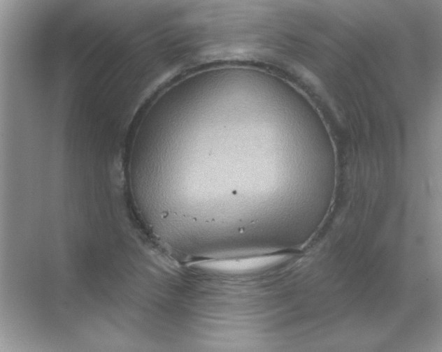 X0000068721218200605192244