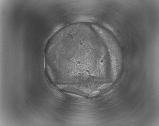 X0000068721219200605192244