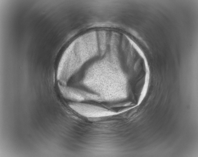 X0000068721221200605192245