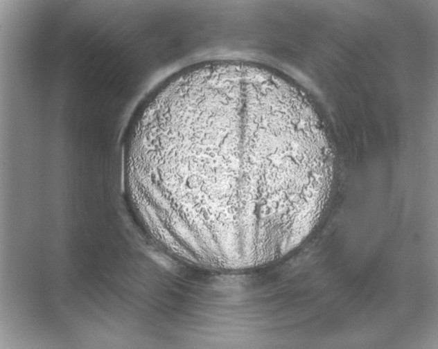 X0000068721223200605192245