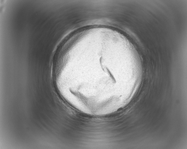 X0000068721224200605192245