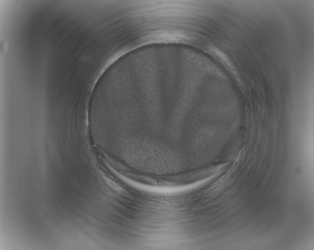 X0000068721226200605192245