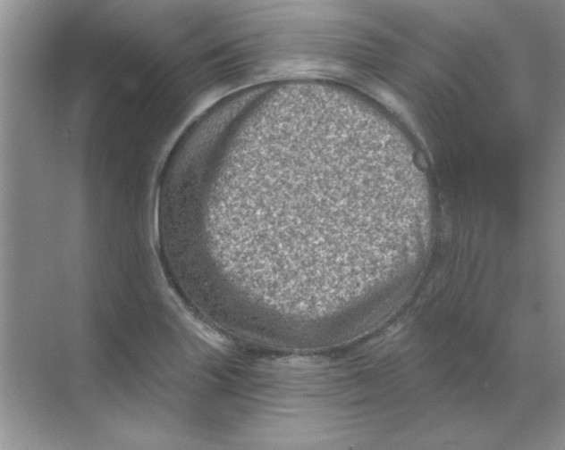 X0000068721227200605192245