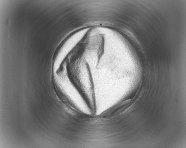 X0000068721228200605192245