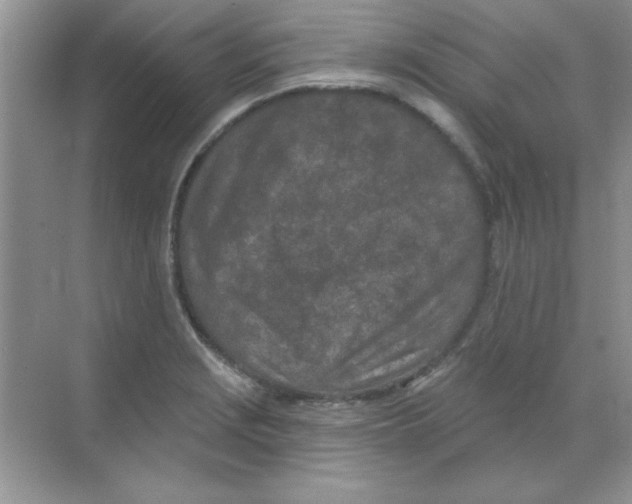 X0000068721229200605192245