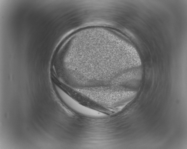 X0000068721230200605192245