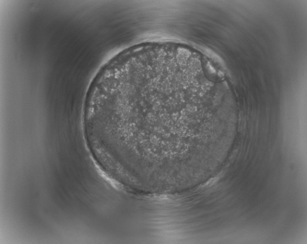 X0000068721231200605192245