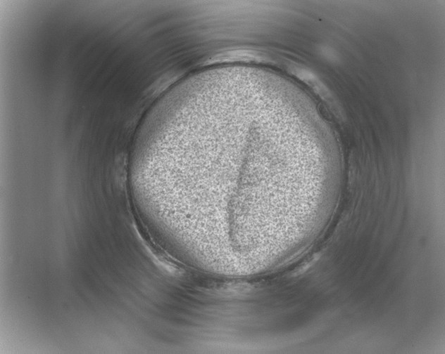 X0000068721233200605192245