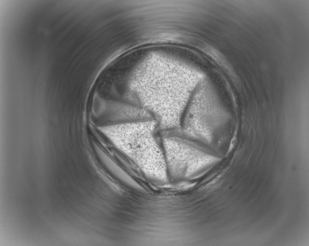 X0000068721234200605192245