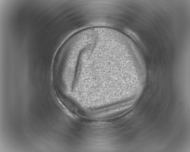 X0000068721236200605192245