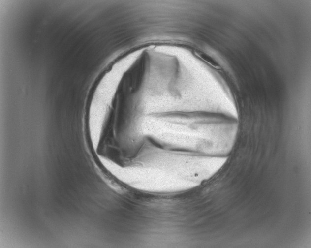 X0000068721237200605192245