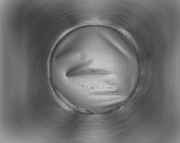 X0000068721238200605192245