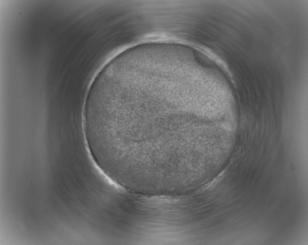 X0000068721239200605192245