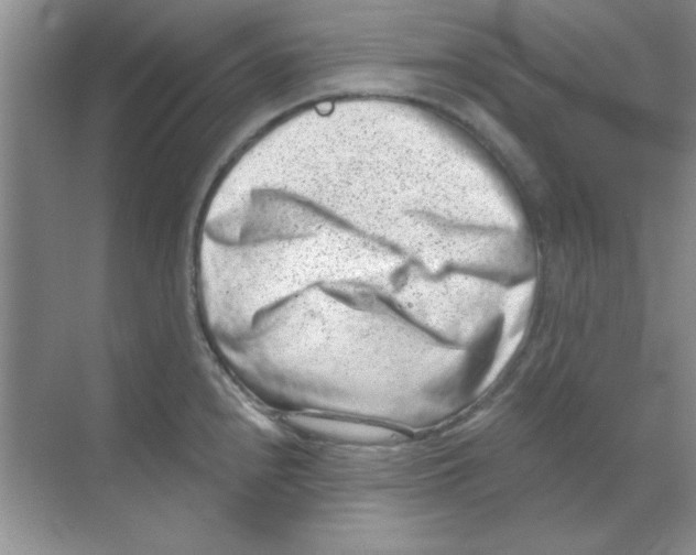 X0000068721240200605192245