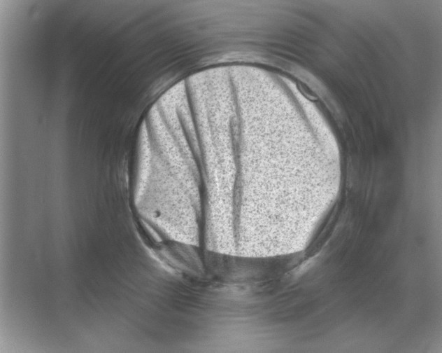 X0000068721241200605192245