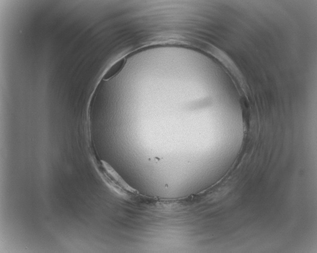 X0000068721242200605192245