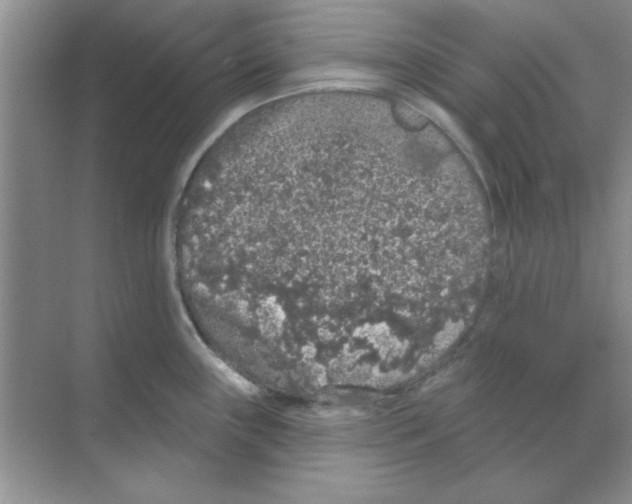 X0000068721243200605192245