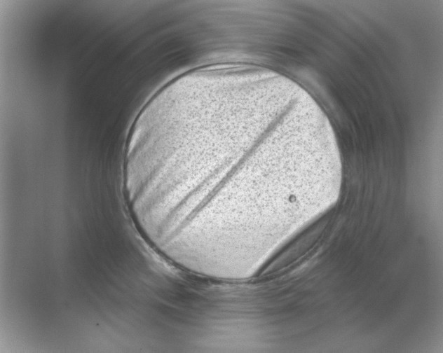 X0000068721244200605192245