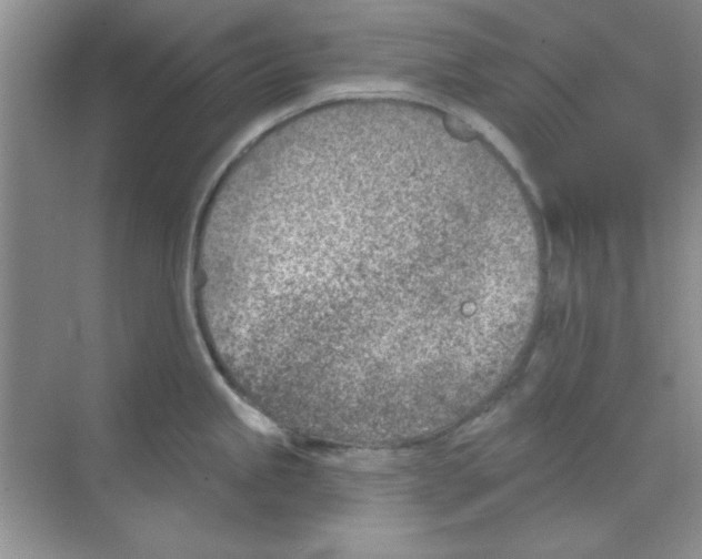 X0000068721245200605192245