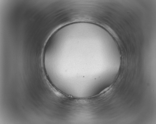 X0000068721246200605192245